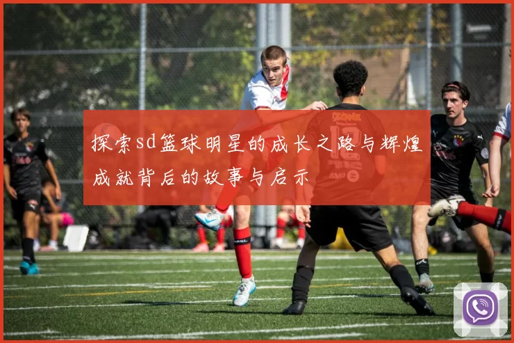 探索sd篮球明星的成长之路与辉煌成就背后的故事与启示