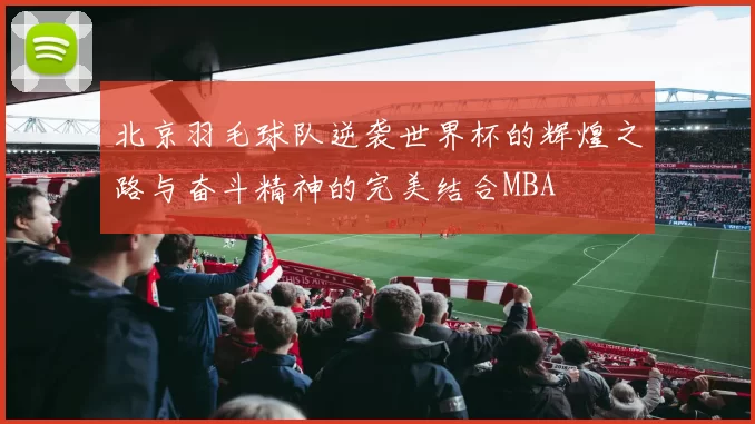 北京羽毛球队逆袭世界杯的辉煌之路与奋斗精神的完美结合MBA