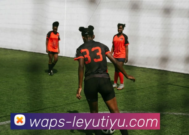 多媒体互动体验